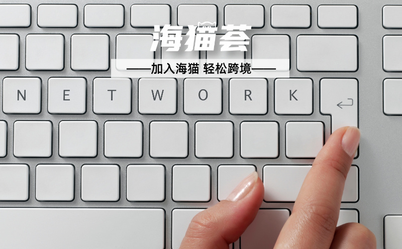 官网图片__2026-03-04+14_22_53.jpg