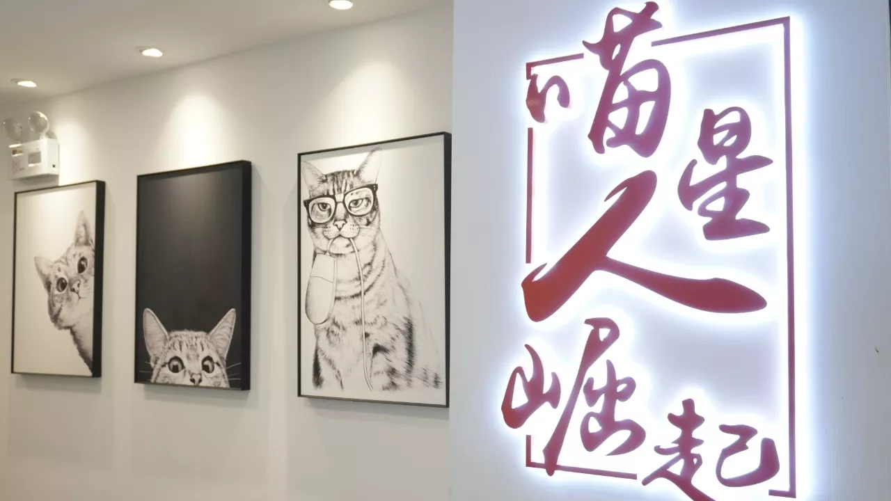 公司环境