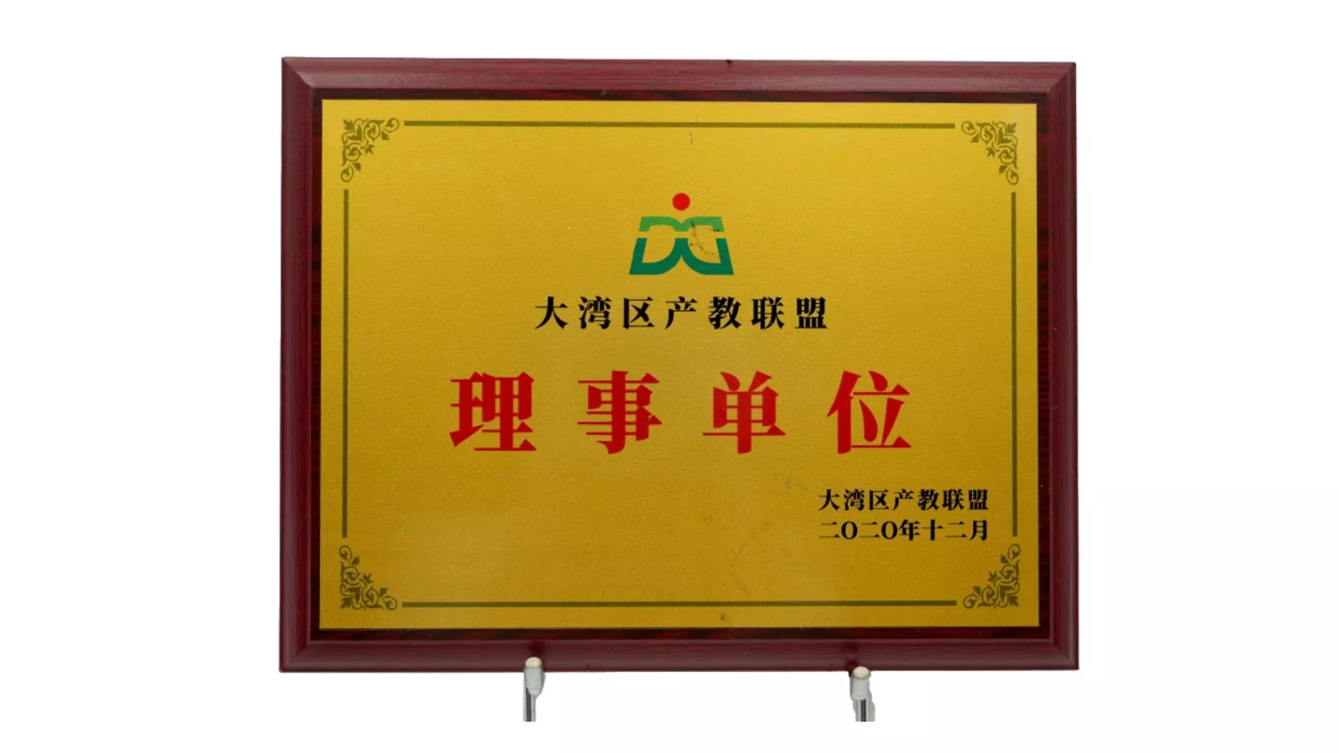 大湾区产教联盟理事单位