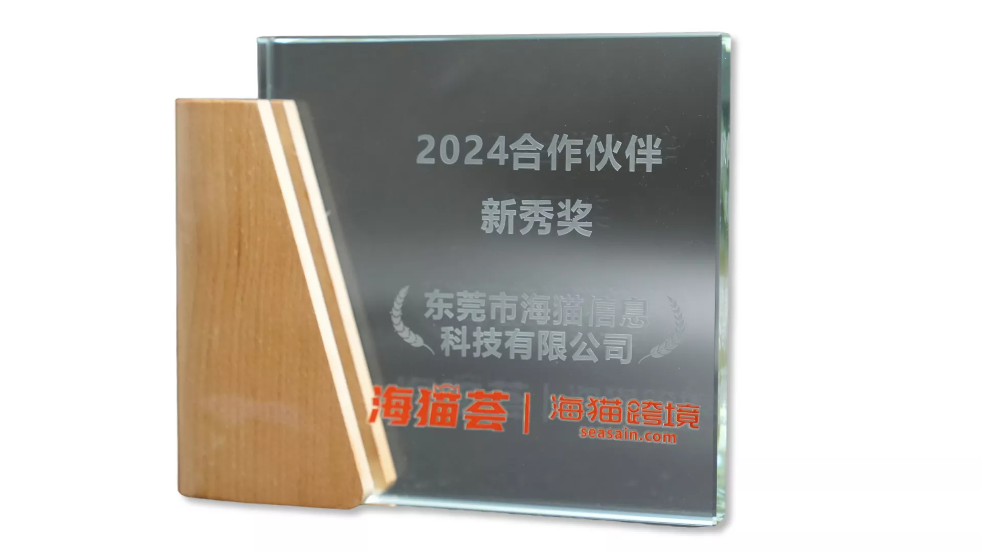 亚马逊全球开店合作伙伴新秀奖
